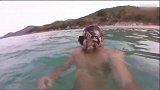 章鱼突袭潜水员瞬间粘附在其脸上