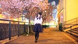 爱降临至我们的街道的夜 试跳【在樱花树下】