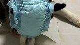 这是什么鬼