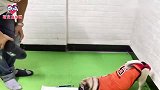 狗狗为了老婆孩子跟主人玩猜拳，下一秒你们忍住别笑