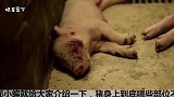 猪身上这个部位千万别吃，里面还有毒素和重金属，赶快告诉家人！