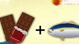 鱼肉怎么样更好吃？日本吃货发现，喂巧克力！