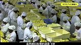 揭秘南非罐头加工厂，用这种方法，制作出美味的葡萄柚罐头