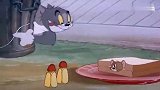 猫和老鼠：羞答答的汤姆女士来也，果然很迷人哦