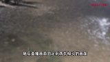 斗牛比赛现场起纠纷引发群殴，一女子倒地不起身亡？多方回应