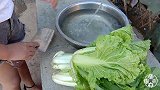滇妹子隐居山村的生活写照，秘制酸辣大白菜，家常味道真地道
