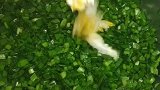 韭菜鸡蛋馅儿饼，你学会了嘛