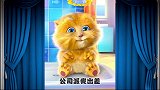 搞笑段子猫咪