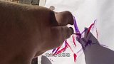 猪的“指甲”很珍贵看完这个视频，估计养猪的都后悔了吧
