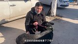 犬舍倒闭“含泪”处理狗狗，只为找到有缘人，想捡便宜的快来看看
