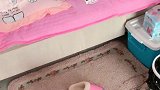 爸爸问泰迪妈妈在哪睡觉，泰迪立马演示一遍，真聪明！