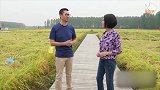 周杰在东北种植稻田，种菜养鸡 过自给自足的生活