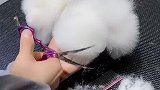 怎么去拥有一道彩虹在下面打出来