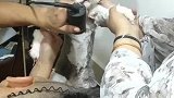 猫：差不多行了，别给我剃光了！
