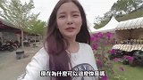 哈利波特周边商品开箱，还真挺好玩