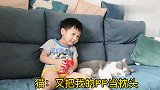 猫咪不满小主人拿它当枕头，竟对他放了个P，小主人被熏的一脸懵