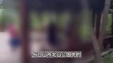 吉林白山一公园内一男一女上吊身亡，网友称二者疑为母子关系，警方回应