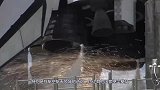 我国天眼发现“第二地球”，有水有植物，科学家：停止勘查