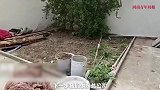 男子花一百多万买二手房，过完户被催收4万多水费欠费？官方回应