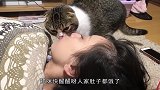 豹子舔舐男子脑门，越看越觉得不对劲，胆子也太大了