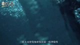 世界上最清澈的海，人眼可看穿水下72米，却让无数人有去无回