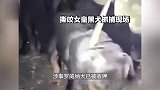 警方对黑狗主人采取刑事强制措施：狗打过狂犬疫苗，不清楚是否会被安乐死