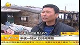 半夜一场火  万只鸡烤熟