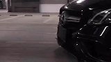 看那凶悍的鹰眼，你就知道它很厉害了
