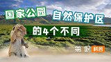第一批国家公园来了！都是保护野生动物，和自然保护区有啥区别？