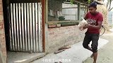 歪果仁的农村生活偷鸡不成蚀把米，沙雕日常爆笑不断！