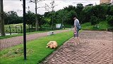 看我的游泳技术怎么样