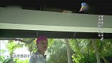 线索竟放在房顶上，王祖蓝瞬间“声讨”节目组