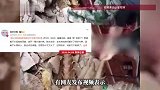 屋内水泥地板突然被竹笋顶破，挖开一看还有惊喜：密密麻麻全是竹笋！