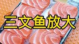 三文鱼生肉虽鲜美，入口需谨慎，里面肉质全部腐烂