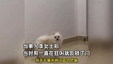 独居女子深夜遭陌生男子拿钥匙开门：求助男同事脱困，当时没报警
