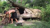 生存哥独居山林，饿了就用石板烤蛋吃，真是羡煞旁人