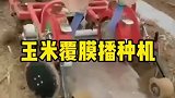 玉米覆膜播种机，小型农业机械