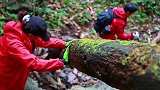 探秘恩施无人区，深入峡谷，惊险又刺激，处处是美景！