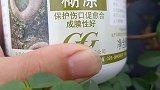 养花总是黑杆，嫁接修剪之后需要用到这东西，杀菌消毒促愈合