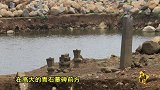 看什么看-20160826-惊！广东水库泄洪露出神秘古墓葬群