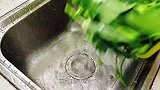 为什么你做空心菜发黄又发黑？酒店大厨教你凉拌，颜色碧绿又好吃