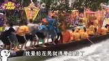 爆笑：人与人差距怎么这么大，你们几个会不会划船