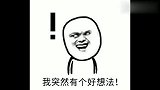 主人骗哈士奇吃冰冻西瓜，二哈：这瓜啃不动！