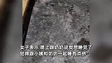 女子过年回老家住以前的屋，与鸡作伴满地鸡屎：味道直冲天灵盖