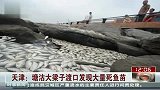 天津塘沽渡口发现大量死鱼苗 疑缺氧所致