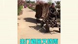 改装大神很内卷，各种奇葩杰作太亮眼