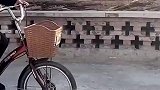 曾祖父带重孙女去打水，但实则是去显摆的