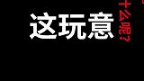 你们知道沙和尚挑的是什么不