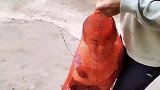 当叔叔来带娃，这确实亲叔叔能做出来的事情