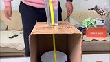520的爱心营养餐，老杜最爱【番茄虾仁魔芋丝】
